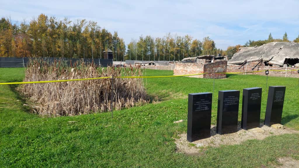 Kulturreise Polen 2025