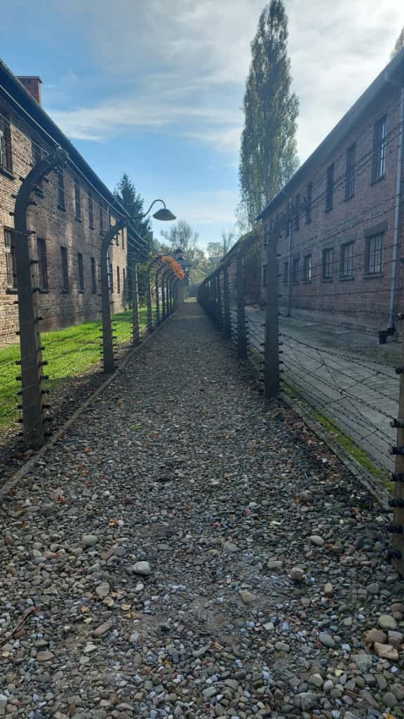 Kulturreise Polen 2025