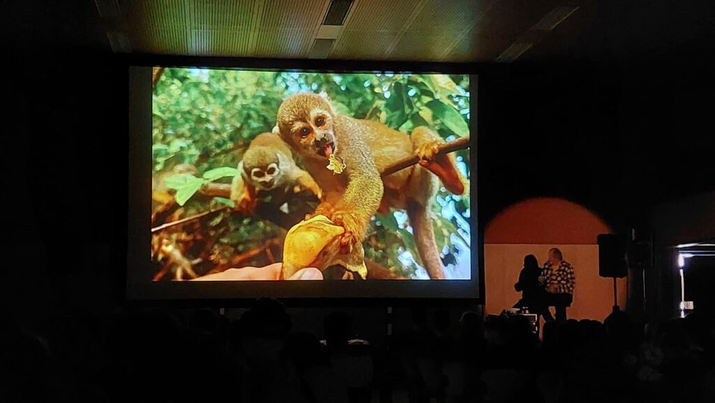 Vortrag Helmut Pichler