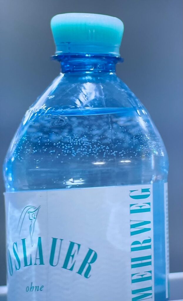 Exkursion zu V&Atilde;&para;slauer