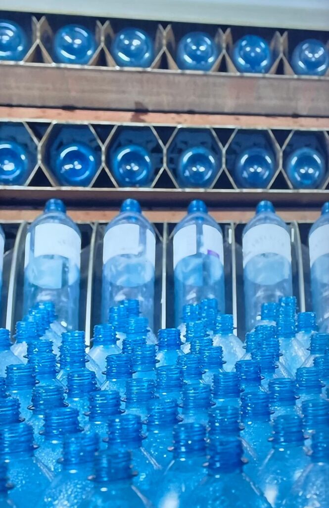 Exkursion zu V&Atilde;&para;slauer