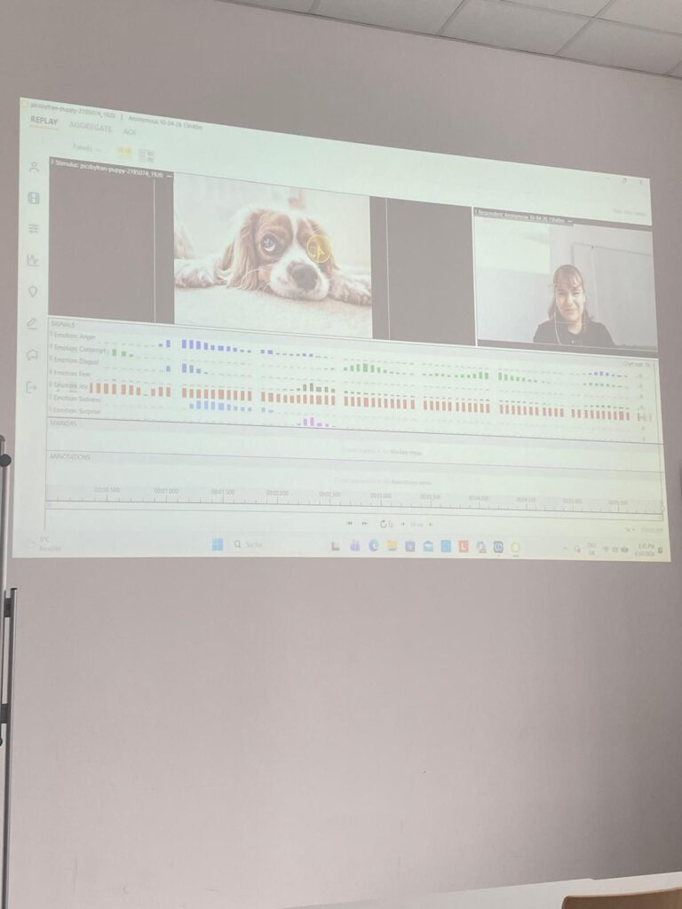 Marktforschung selbst durchführen